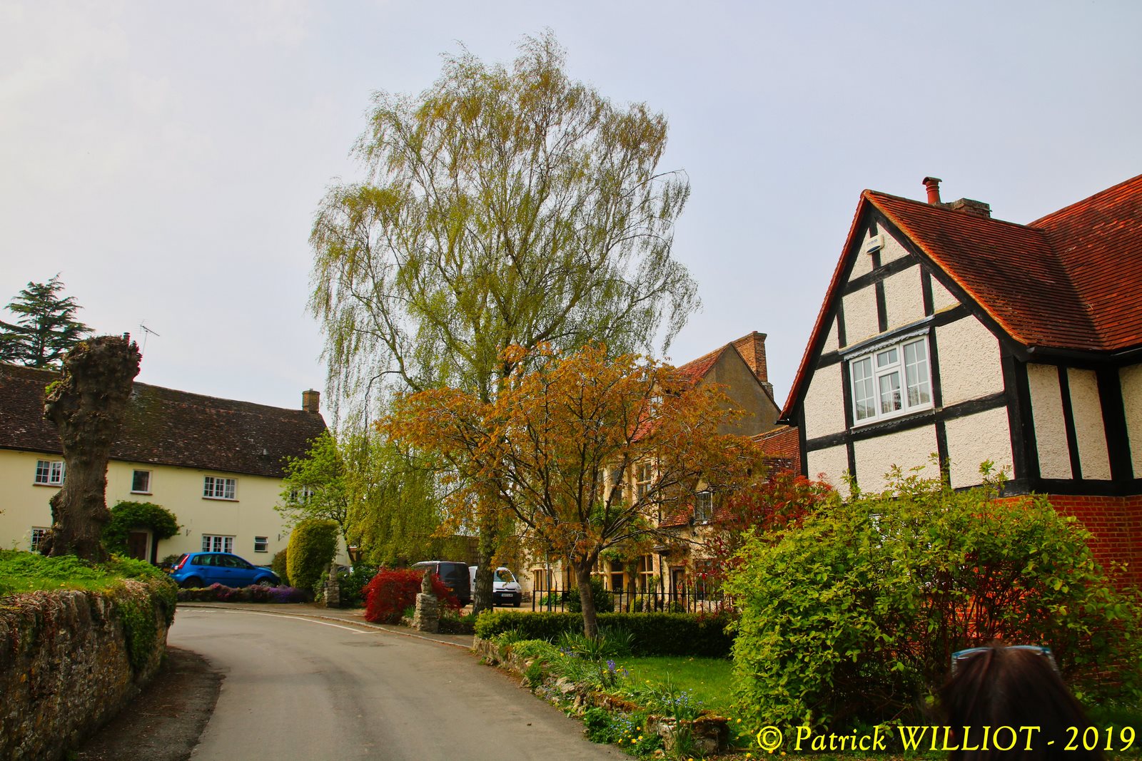 Cuddington